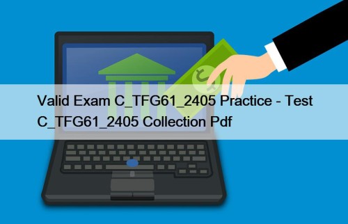 Valid Exam C_TFG61_2405 Practice - Test C_TFG61_2405 Collection Pdf