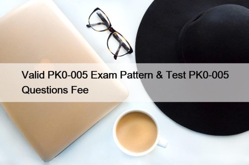 Valid PK0-005 Exam Pattern & Test PK0-005 Questions Fee